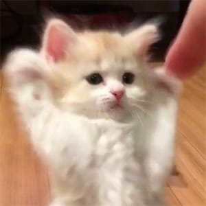 Ảnh đại diện Đức Phú